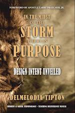 In the Midst of the Storm There Is Purpose