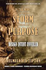 In the Midst of the Storm There Is Purpose