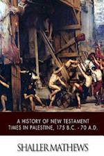 A History of New Testament Times in Palestine, 175 B.C. ? 70 A.D.