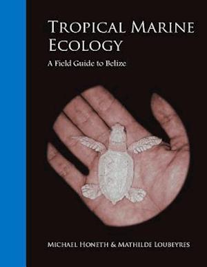 Tropical Marine Ecology