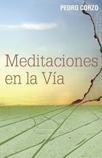 Meditaciones en la vía