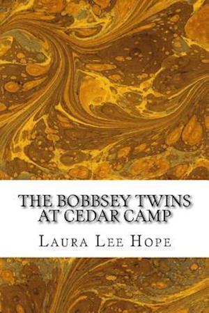 The Bobbsey Twins at Cedar Camp