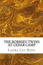 The Bobbsey Twins at Cedar Camp