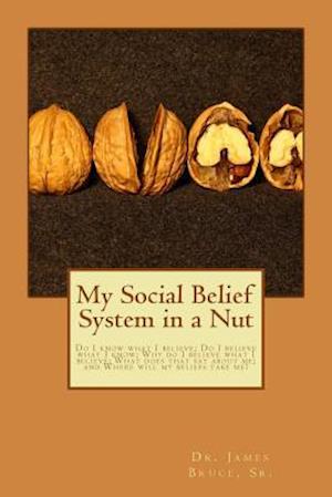 My Social Belief System in a Nut