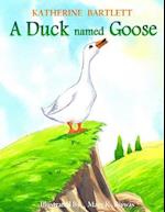 A Duck Named Goose