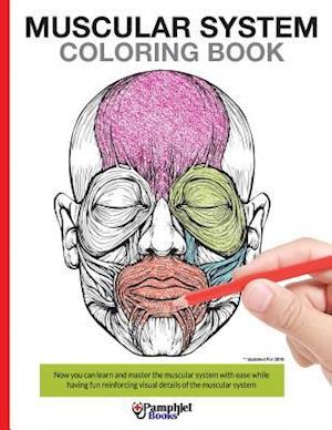 Muscular System Coloring Book