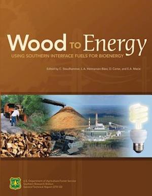 Wood to Energy