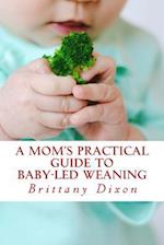 A Mom's Practical Guide to Baby-Led Weaning