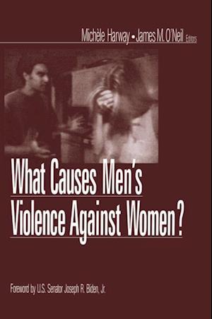 What Causes Men's Violence Against Women?