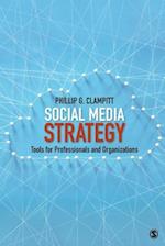 Social Media Strategy : Tools for Professionals and Organizations