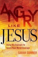 Angry Like Jesus: Using His Example to Spark Your Moral Courage