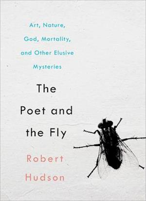 Poet and the Fly
