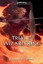 Trial Of The Wizard King: The Wizard King Trilogy Book Two