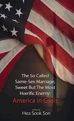 So Called Same-Sex Marriage, Sweet but the Most Horrific Enemy: America in Crisis