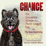 Chance, the Incredible, Wonderful, Three-Legged Dog and the New Beginning