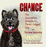 Chance, The Incredible, Wonderful, Three-Legged Dog and The New Beginning