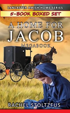 Lancaster Home for Jacob 5-Book Boxed Set Bundle