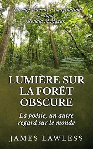 Lumière sur la Forêt Obscure