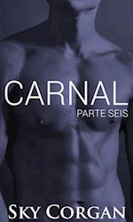 Carnal: Parte Seis