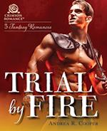 Trial by Fire