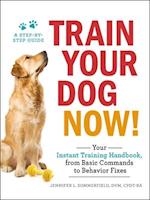 Train Your Dog Now!