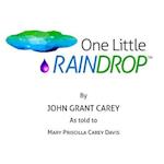 One Little Raindrop