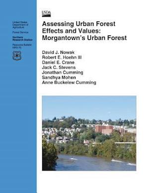 Assessing Urban Forest Effects and Values