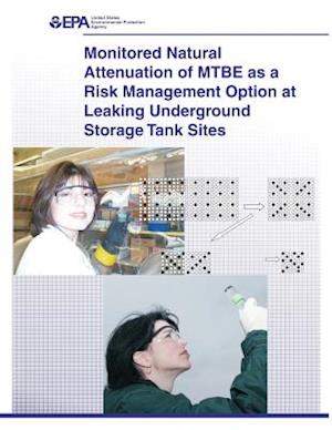 Monitored Natural Attenuation of Mtbe as a Risk Management Option at Leaking Underground Storage Tank Sites