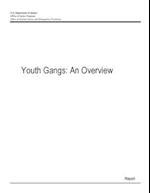 Youth Gangs