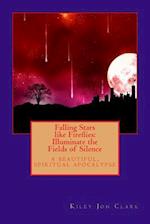 Falling Stars like Fireflies: Illuminate the Fields of Silence: a beautiful, spiritual apocalypse 