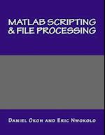 MATLAB Scripting & File Processing