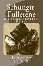 Schungit-Fullerene