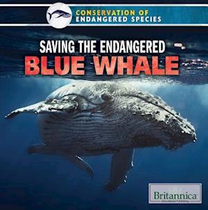 Saving the Endangered Blue Whale