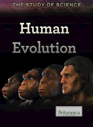 Human Evolution