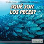 Que Son Los Peces? (What Are Fish?)