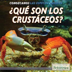 Que Son Los Crustaceos? (What Are Crustaceans?)