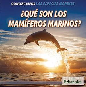 Que Son Los Mamiferos Marinos? (What Are Sea Mammals?)