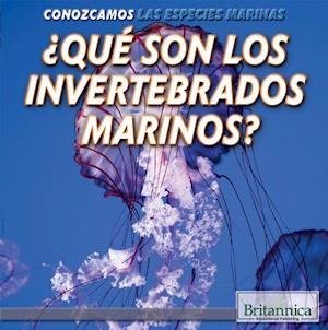 Que Son Los Invertebrados Marinos? (What Are Sea Invertebrates?)