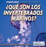 Que Son Los Invertebrados Marinos? (What Are Sea Invertebrates?)