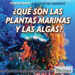 Que Son Las Plantas Marinas y Las Algas? (What Are Sea Plants and Algae?)