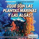 Que Son Las Plantas Marinas y Las Algas? (What Are Sea Plants and Algae?)
