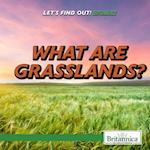 What Are Grasslands?