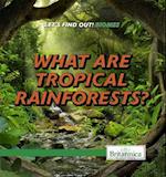 What Are Tropical Rainforests?