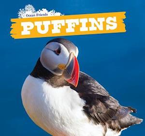 Puffins