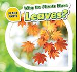 Why Do Plants Have Leaves?