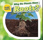 Why Do Plants Have Roots?