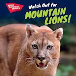 Watch Out for Mountain Lions!