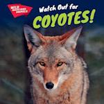 Watch Out for Coyotes!