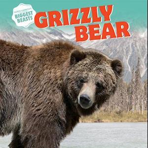 Grizzly Bear