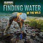 Finding Water in the Wild